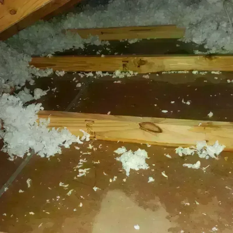 Attic Water Damage in Clark County, OH