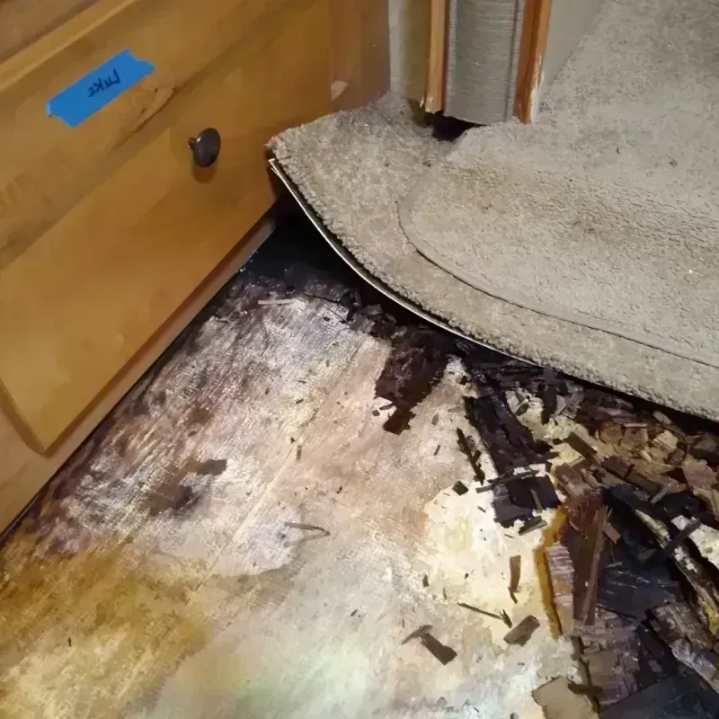 Wood Floor Water Damage in Clark County, OH